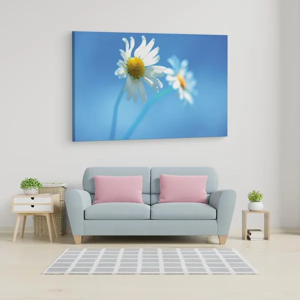Multicolor_16_X_24_Inch,_Pine_Wood_Framed_Canvas_Paintings_|_For_Home_Decor,_Ready_To_Wall_Hanging,_Premium_Painting_|_For_|_Bedroom,_Living_Room,_Office_Wall_Decoration_|_Wall_Art_Painting,_Ct1128