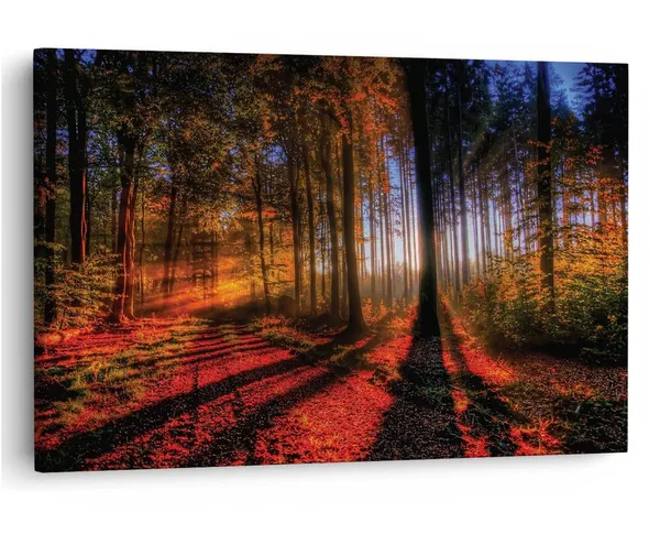 Multicolor_16_X_24_Inch,_Pine_Wood_Framed_Canvas_Paintings_|_For_Home_Decor,_Ready_To_Wall_Hanging,_Premium_Painting_|_For_|_Bedroom,_Living_Room,_Office_Wall_Decoration_|_Wall_Art_Painting,_Ct1131