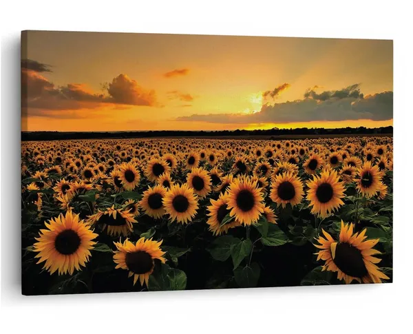 Multicolor_16_X_24_Inch,_Pine_Wood_Framed_Canvas_Paintings_|_For_Home_Decor,_Ready_To_Wall_Hanging,_Premium_Painting_|_For_|_Bedroom,_Living_Room,_Office_Wall_Decoration_|_Wall_Art_Painting,_Ct1133