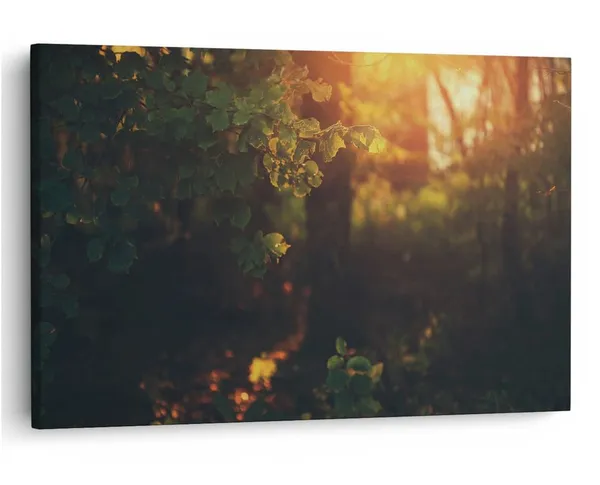 Multicolor_16_X_24_Inch,_Pine_Wood_Framed_Canvas_Paintings_|_For_Home_Decor,_Ready_To_Wall_Hanging,_Premium_Painting_|_For_|_Bedroom,_Living_Room,_Office_Wall_Decoration_|_Wall_Art_Painting,_Ct1134