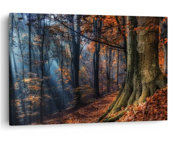 Multicolor_16_X_24_Inch,_Pine_Wood_Framed_Canvas_Paintings_|_For_Home_Decor,_Ready_To_Wall_Hanging,_Premium_Painting_|_For_|_Bedroom,_Living_Room,_Office_Wall_Decoration_|_Wall_Art_Painting,_Ct1148