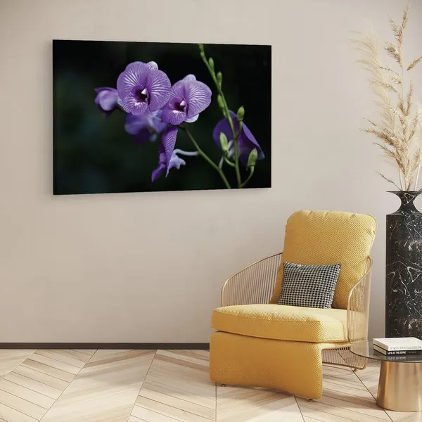 Multicolor_16_X_24_Inch,_Pine_Wood_Framed_Canvas_Paintings_|_For_Home_Decor,_Ready_To_Wall_Hanging,_Premium_Painting_|_For_|_Bedroom,_Living_Room,_Office_Wall_Decoration_|_Wall_Art_Painting,_Ct1150