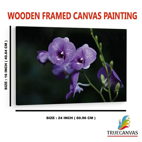 Multicolor_16_X_24_Inch,_Pine_Wood_Framed_Canvas_Paintings_|_For_Home_Decor,_Ready_To_Wall_Hanging,_Premium_Painting_|_For_|_Bedroom,_Living_Room,_Office_Wall_Decoration_|_Wall_Art_Painting,_Ct1150