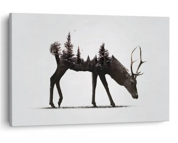 Multicolor_16_X_24_Inch,_Pine_Wood_Framed_Canvas_Paintings_|_For_Home_Decor,_Ready_To_Wall_Hanging,_Premium_Painting_|_For_|_Bedroom,_Living_Room,_Office_Wall_Decoration_|_Wall_Art_Painting,_Ct1168