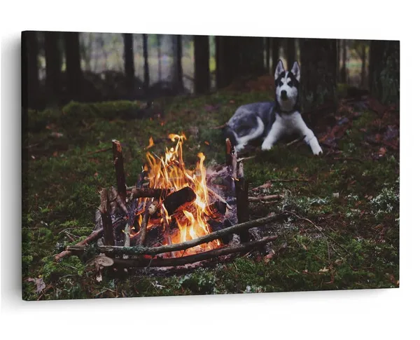 Multicolor_16_X_24_Inch,_Pine_Wood_Framed_Canvas_Paintings_|_For_Home_Decor,_Ready_To_Wall_Hanging,_Premium_Painting_|_For_|_Bedroom,_Living_Room,_Office_Wall_Decoration_|_Wall_Art_Painting,_Ct1169