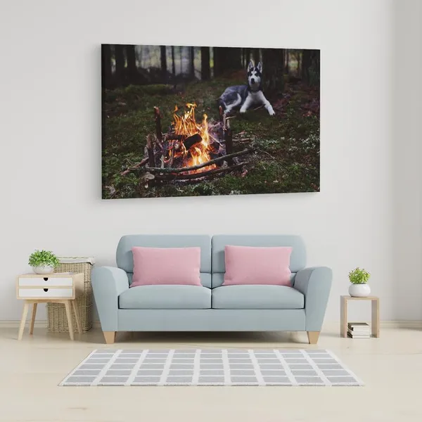 Multicolor_16_X_24_Inch,_Pine_Wood_Framed_Canvas_Paintings_|_For_Home_Decor,_Ready_To_Wall_Hanging,_Premium_Painting_|_For_|_Bedroom,_Living_Room,_Office_Wall_Decoration_|_Wall_Art_Painting,_Ct1169