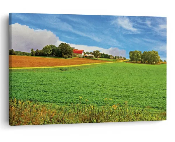 Multicolor_16_X_24_Inch,_Pine_Wood_Framed_Canvas_Paintings_|_For_Home_Decor,_Ready_To_Wall_Hanging,_Premium_Painting_|_For_|_Bedroom,_Living_Room,_Office_Wall_Decoration_|_Wall_Art_Painting,_Ct1178