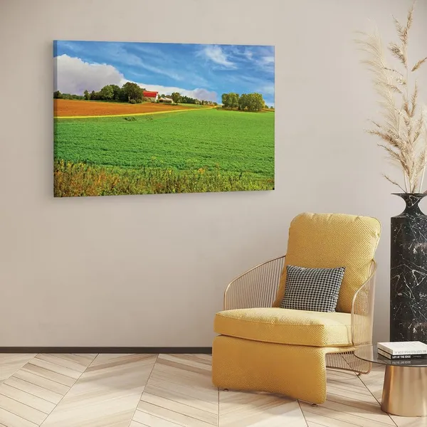 Multicolor_16_X_24_Inch,_Pine_Wood_Framed_Canvas_Paintings_|_For_Home_Decor,_Ready_To_Wall_Hanging,_Premium_Painting_|_For_|_Bedroom,_Living_Room,_Office_Wall_Decoration_|_Wall_Art_Painting,_Ct1178