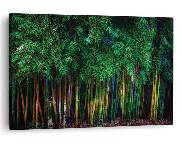 Multicolor_16_X_24_Inch,_Pine_Wood_Framed_Canvas_Paintings_|_For_Home_Decor,_Ready_To_Wall_Hanging,_Premium_Painting_|_For_|_Bedroom,_Living_Room,_Office_Wall_Decoration_|_Wall_Art_Painting,_Ct1182
