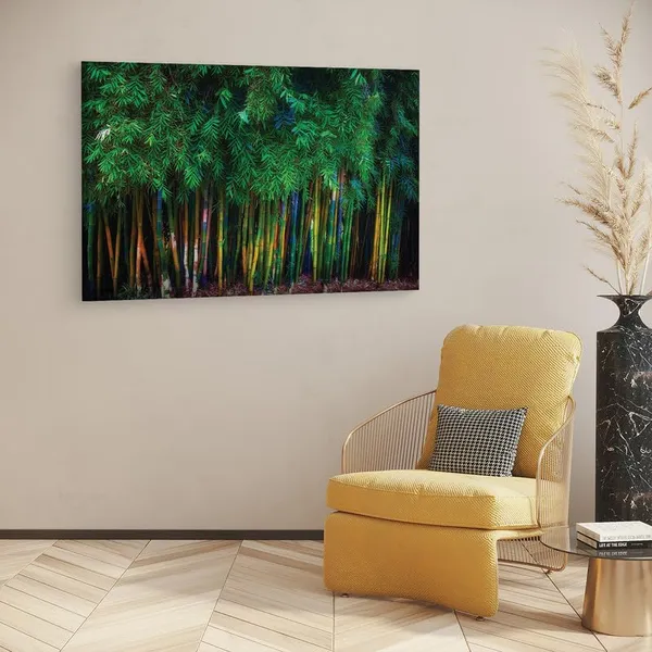 Multicolor_16_X_24_Inch,_Pine_Wood_Framed_Canvas_Paintings_|_For_Home_Decor,_Ready_To_Wall_Hanging,_Premium_Painting_|_For_|_Bedroom,_Living_Room,_Office_Wall_Decoration_|_Wall_Art_Painting,_Ct1182