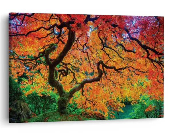 Multicolor_16_X_24_Inch,_Pine_Wood_Framed_Canvas_Paintings_|_For_Home_Decor,_Ready_To_Wall_Hanging,_Premium_Painting_|_For_|_Bedroom,_Living_Room,_Office_Wall_Decoration_|_Wall_Art_Painting,_Ct1183