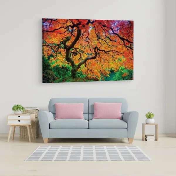 Multicolor_16_X_24_Inch,_Pine_Wood_Framed_Canvas_Paintings_|_For_Home_Decor,_Ready_To_Wall_Hanging,_Premium_Painting_|_For_|_Bedroom,_Living_Room,_Office_Wall_Decoration_|_Wall_Art_Painting,_Ct1183