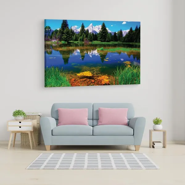 Multicolor_16_X_24_Inch,_Pine_Wood_Framed_Canvas_Paintings_|_For_Home_Decor,_Ready_To_Wall_Hanging,_Premium_Painting_|_For_|_Bedroom,_Living_Room,_Office_Wall_Decoration_|_Wall_Art_Painting,_Ct1200