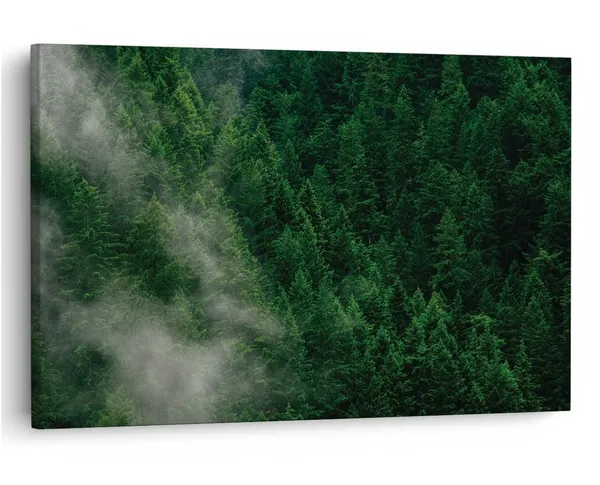 Multicolor_16_X_24_Inch,_Pine_Wood_Framed_Canvas_Paintings_|_For_Home_Decor,_Ready_To_Wall_Hanging,_Premium_Painting_|_For_|_Bedroom,_Living_Room,_Office_Wall_Decoration_|_Wall_Art_Painting,_Ct1201