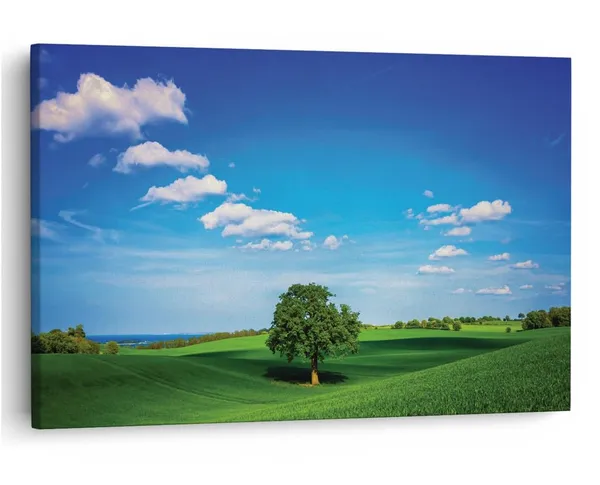 Multicolor_16_X_24_Inch,_Pine_Wood_Framed_Canvas_Paintings_|_For_Home_Decor,_Ready_To_Wall_Hanging,_Premium_Painting_|_For_|_Bedroom,_Living_Room,_Office_Wall_Decoration_|_Wall_Art_Painting,_Ct1221