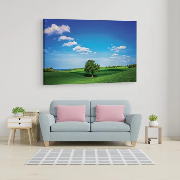 Multicolor_16_X_24_Inch,_Pine_Wood_Framed_Canvas_Paintings_|_For_Home_Decor,_Ready_To_Wall_Hanging,_Premium_Painting_|_For_|_Bedroom,_Living_Room,_Office_Wall_Decoration_|_Wall_Art_Painting,_Ct1221