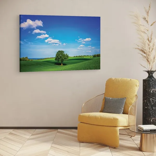 Multicolor_16_X_24_Inch,_Pine_Wood_Framed_Canvas_Paintings_|_For_Home_Decor,_Ready_To_Wall_Hanging,_Premium_Painting_|_For_|_Bedroom,_Living_Room,_Office_Wall_Decoration_|_Wall_Art_Painting,_Ct1221