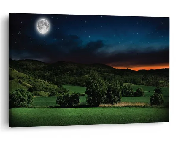 Multicolor_16_X_24_Inch,_Pine_Wood_Framed_Canvas_Paintings_|_For_Home_Decor,_Ready_To_Wall_Hanging,_Premium_Painting_|_For_|_Bedroom,_Living_Room,_Office_Wall_Decoration_|_Wall_Art_Painting,_Ct1233