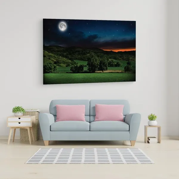 Multicolor_16_X_24_Inch,_Pine_Wood_Framed_Canvas_Paintings_|_For_Home_Decor,_Ready_To_Wall_Hanging,_Premium_Painting_|_For_|_Bedroom,_Living_Room,_Office_Wall_Decoration_|_Wall_Art_Painting,_Ct1233