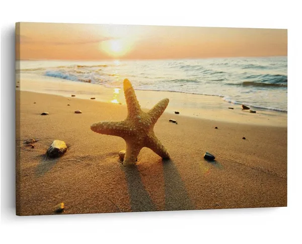 Multicolor_16_X_24_Inch,_Pine_Wood_Framed_Canvas_Paintings_|_For_Home_Decor,_Ready_To_Wall_Hanging,_Premium_Painting_|_For_|_Bedroom,_Living_Room,_Office_Wall_Decoration_|_Wall_Art_Painting,_Ct1242