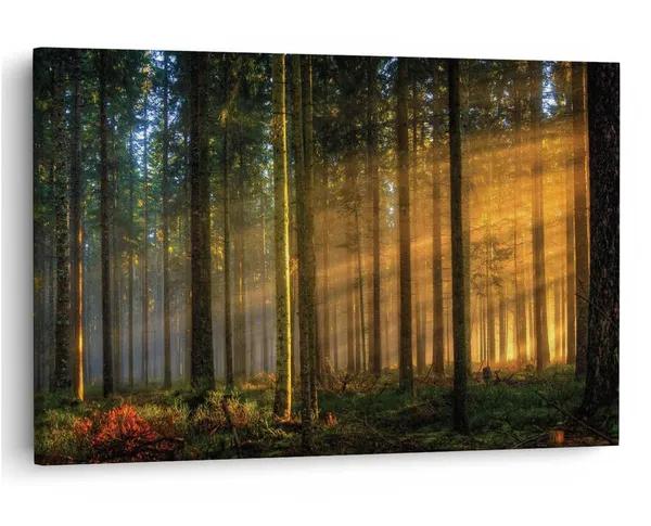 Multicolor_16_X_24_Inch,_Pine_Wood_Framed_Canvas_Paintings_|_For_Home_Decor,_Ready_To_Wall_Hanging,_Premium_Painting_|_For_|_Bedroom,_Living_Room,_Office_Wall_Decoration_|_Wall_Art_Painting,_Ct1247