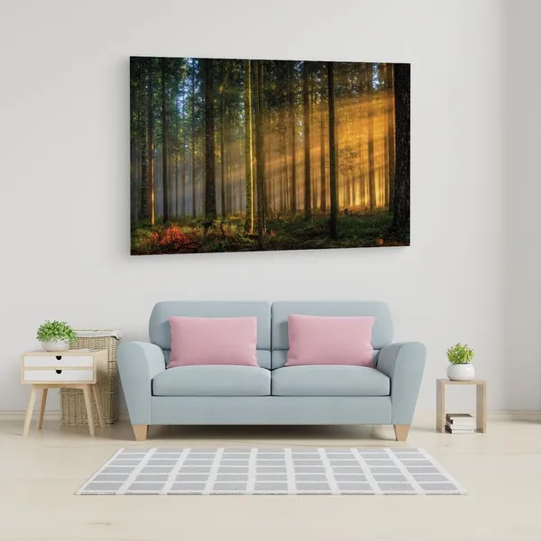 Multicolor_16_X_24_Inch,_Pine_Wood_Framed_Canvas_Paintings_|_For_Home_Decor,_Ready_To_Wall_Hanging,_Premium_Painting_|_For_|_Bedroom,_Living_Room,_Office_Wall_Decoration_|_Wall_Art_Painting,_Ct1247