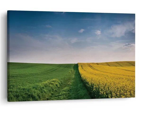 Multicolor_16_X_24_Inch,_Pine_Wood_Framed_Canvas_Paintings_|_For_Home_Decor,_Ready_To_Wall_Hanging,_Premium_Painting_|_For_|_Bedroom,_Living_Room,_Office_Wall_Decoration_|_Wall_Art_Painting,_Ct1259