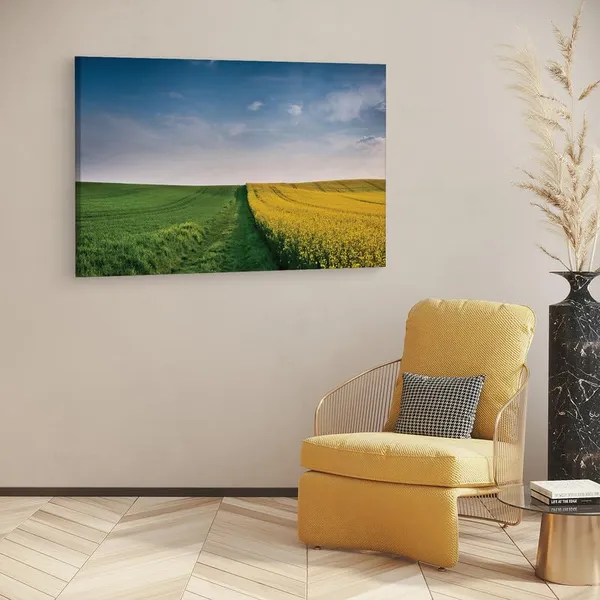 Multicolor_16_X_24_Inch,_Pine_Wood_Framed_Canvas_Paintings_|_For_Home_Decor,_Ready_To_Wall_Hanging,_Premium_Painting_|_For_|_Bedroom,_Living_Room,_Office_Wall_Decoration_|_Wall_Art_Painting,_Ct1259