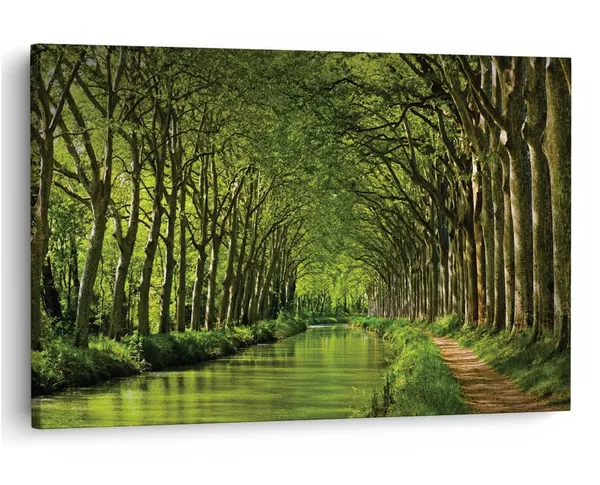 Multicolor_16_X_24_Inch,_Pine_Wood_Framed_Canvas_Paintings_|_For_Home_Decor,_Ready_To_Wall_Hanging,_Premium_Painting_|_For_|_Bedroom,_Living_Room,_Office_Wall_Decoration_|_Wall_Art_Painting,_Ct1269