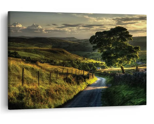 Multicolor_16_X_24_Inch,_Pine_Wood_Framed_Canvas_Paintings_|_For_Home_Decor,_Ready_To_Wall_Hanging,_Premium_Painting_|_For_|_Bedroom,_Living_Room,_Office_Wall_Decoration_|_Wall_Art_Painting,_Ct1285