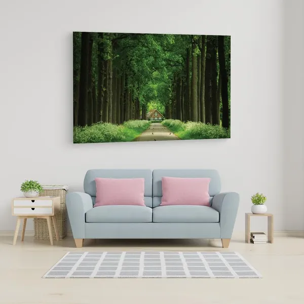 Multicolor_16_X_24_Inch,_Pine_Wood_Framed_Canvas_Paintings_|_For_Home_Decor,_Ready_To_Wall_Hanging,_Premium_Painting_|_For_|_Bedroom,_Living_Room,_Office_Wall_Decoration_|_Wall_Art_Painting,_Ct1289