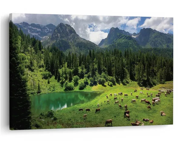 Multicolor_16_X_24_Inch,_Pine_Wood_Framed_Canvas_Paintings_|_For_Home_Decor,_Ready_To_Wall_Hanging,_Premium_Painting_|_For_|_Bedroom,_Living_Room,_Office_Wall_Decoration_|_Wall_Art_Painting,_Ct1295