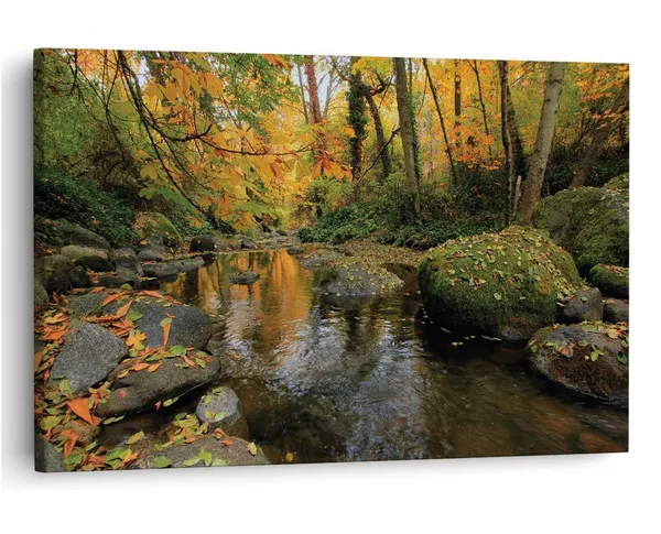 Multicolor_16_X_24_Inch,_Pine_Wood_Framed_Canvas_Paintings_|_For_Home_Decor,_Ready_To_Wall_Hanging,_Premium_Painting_|_For_|_Bedroom,_Living_Room,_Office_Wall_Decoration_|_Wall_Art_Painting,_Ct1305