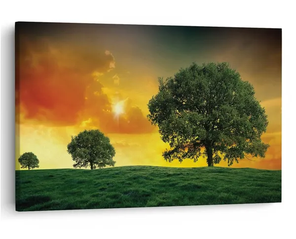 Multicolor_16_X_24_Inch,_Pine_Wood_Framed_Canvas_Paintings_|_For_Home_Decor,_Ready_To_Wall_Hanging,_Premium_Painting_|_For_|_Bedroom,_Living_Room,_Office_Wall_Decoration_|_Wall_Art_Painting,_Ct1309