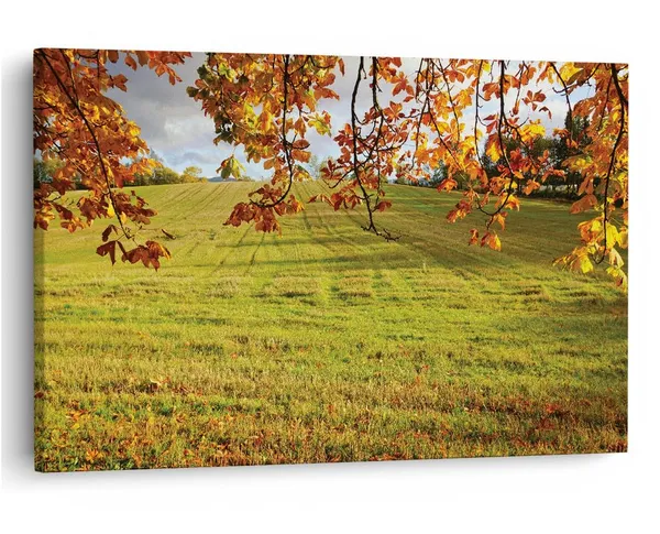 Multicolor_16_X_24_Inch,_Pine_Wood_Framed_Canvas_Paintings_|_For_Home_Decor,_Ready_To_Wall_Hanging,_Premium_Painting_|_For_|_Bedroom,_Living_Room,_Office_Wall_Decoration_|_Wall_Art_Painting,_Ct1315