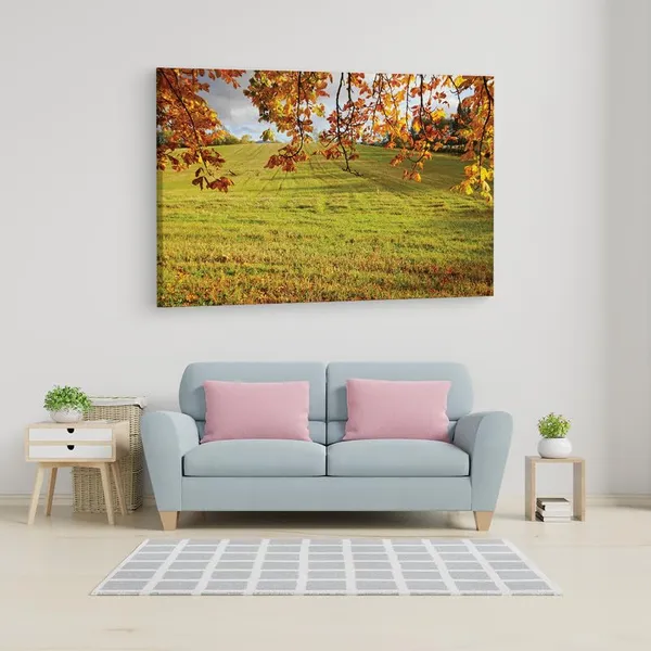 Multicolor_16_X_24_Inch,_Pine_Wood_Framed_Canvas_Paintings_|_For_Home_Decor,_Ready_To_Wall_Hanging,_Premium_Painting_|_For_|_Bedroom,_Living_Room,_Office_Wall_Decoration_|_Wall_Art_Painting,_Ct1315