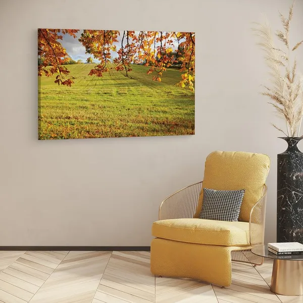 Multicolor_16_X_24_Inch,_Pine_Wood_Framed_Canvas_Paintings_|_For_Home_Decor,_Ready_To_Wall_Hanging,_Premium_Painting_|_For_|_Bedroom,_Living_Room,_Office_Wall_Decoration_|_Wall_Art_Painting,_Ct1315