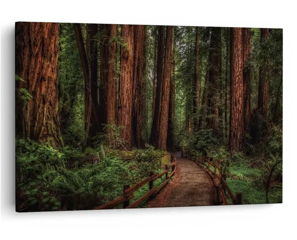 Multicolor_16_X_24_Inch,_Pine_Wood_Framed_Canvas_Paintings_|_For_Home_Decor,_Ready_To_Wall_Hanging,_Premium_Painting_|_For_|_Bedroom,_Living_Room,_Office_Wall_Decoration_|_Wall_Art_Painting,_Ct1320