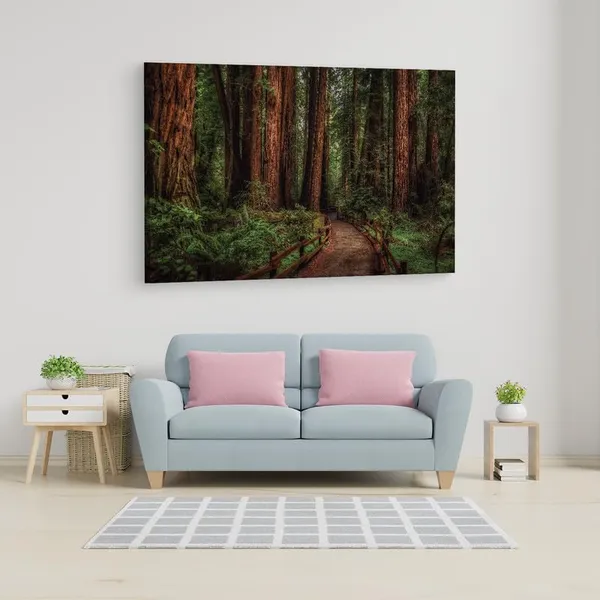 Multicolor_16_X_24_Inch,_Pine_Wood_Framed_Canvas_Paintings_|_For_Home_Decor,_Ready_To_Wall_Hanging,_Premium_Painting_|_For_|_Bedroom,_Living_Room,_Office_Wall_Decoration_|_Wall_Art_Painting,_Ct1320