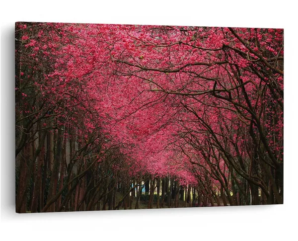 Multicolor_16_X_24_Inch,_Pine_Wood_Framed_Canvas_Paintings_|_For_Home_Decor,_Ready_To_Wall_Hanging,_Premium_Painting_|_For_|_Bedroom,_Living_Room,_Office_Wall_Decoration_|_Wall_Art_Painting,_Ct1326