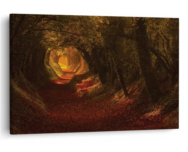 Multicolor_16_X_24_Inch,_Pine_Wood_Framed_Canvas_Paintings_|_For_Home_Decor,_Ready_To_Wall_Hanging,_Premium_Painting_|_For_|_Bedroom,_Living_Room,_Office_Wall_Decoration_|_Wall_Art_Painting,_Ct1339