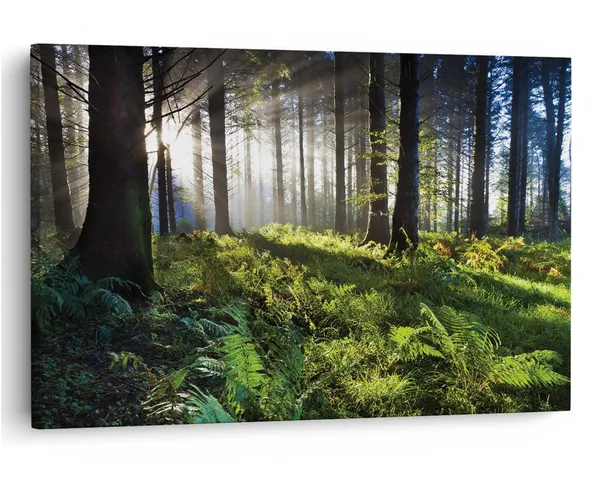 Multicolor_16_X_24_Inch,_Pine_Wood_Framed_Canvas_Paintings_|_For_Home_Decor,_Ready_To_Wall_Hanging,_Premium_Painting_|_For_|_Bedroom,_Living_Room,_Office_Wall_Decoration_|_Wall_Art_Painting,_Ct1343