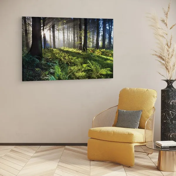 Multicolor_16_X_24_Inch,_Pine_Wood_Framed_Canvas_Paintings_|_For_Home_Decor,_Ready_To_Wall_Hanging,_Premium_Painting_|_For_|_Bedroom,_Living_Room,_Office_Wall_Decoration_|_Wall_Art_Painting,_Ct1343