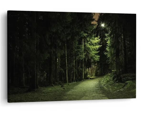 Multicolor_16_X_24_Inch,_Pine_Wood_Framed_Canvas_Paintings_|_For_Home_Decor,_Ready_To_Wall_Hanging,_Premium_Painting_|_For_|_Bedroom,_Living_Room,_Office_Wall_Decoration_|_Wall_Art_Painting,_Ct1348