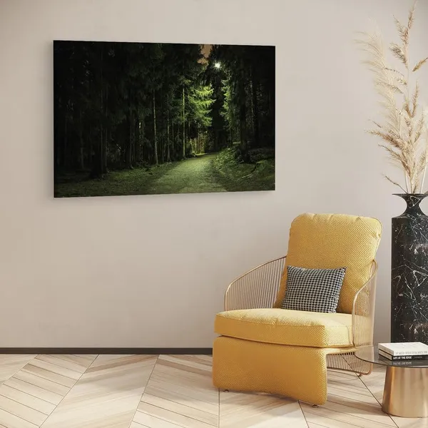 Multicolor_16_X_24_Inch,_Pine_Wood_Framed_Canvas_Paintings_|_For_Home_Decor,_Ready_To_Wall_Hanging,_Premium_Painting_|_For_|_Bedroom,_Living_Room,_Office_Wall_Decoration_|_Wall_Art_Painting,_Ct1348