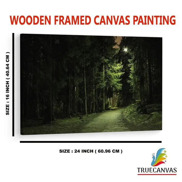 Multicolor_16_X_24_Inch,_Pine_Wood_Framed_Canvas_Paintings_|_For_Home_Decor,_Ready_To_Wall_Hanging,_Premium_Painting_|_For_|_Bedroom,_Living_Room,_Office_Wall_Decoration_|_Wall_Art_Painting,_Ct1348