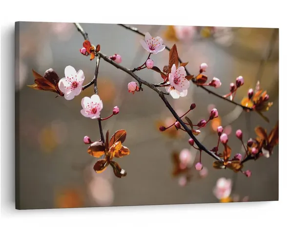 Multicolor_16_X_24_Inch,_Pine_Wood_Framed_Canvas_Paintings_|_For_Home_Decor,_Ready_To_Wall_Hanging,_Premium_Painting_|_For_|_Bedroom,_Living_Room,_Office_Wall_Decoration_|_Wall_Art_Painting,_Ct1355