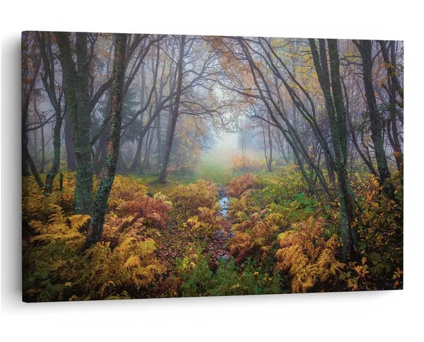 Multicolor_16_X_24_Inch,_Pine_Wood_Framed_Canvas_Paintings_|_For_Home_Decor,_Ready_To_Wall_Hanging,_Premium_Painting_|_For_|_Bedroom,_Living_Room,_Office_Wall_Decoration_|_Wall_Art_Painting,_Ct1356