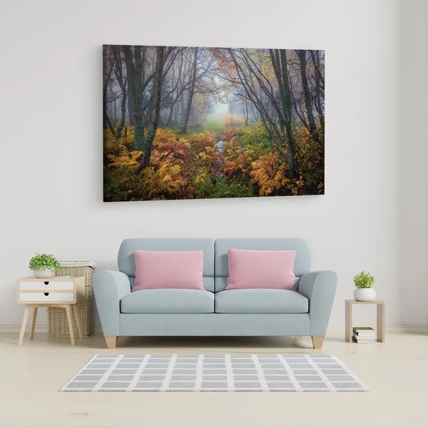Multicolor_16_X_24_Inch,_Pine_Wood_Framed_Canvas_Paintings_|_For_Home_Decor,_Ready_To_Wall_Hanging,_Premium_Painting_|_For_|_Bedroom,_Living_Room,_Office_Wall_Decoration_|_Wall_Art_Painting,_Ct1356