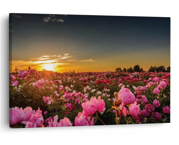 Multicolor_16_X_24_Inch,_Pine_Wood_Framed_Canvas_Paintings_|_For_Home_Decor,_Ready_To_Wall_Hanging,_Premium_Painting_|_For_|_Bedroom,_Living_Room,_Office_Wall_Decoration_|_Wall_Art_Painting,_Ct1365